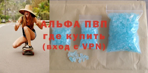 хмурый Аркадак