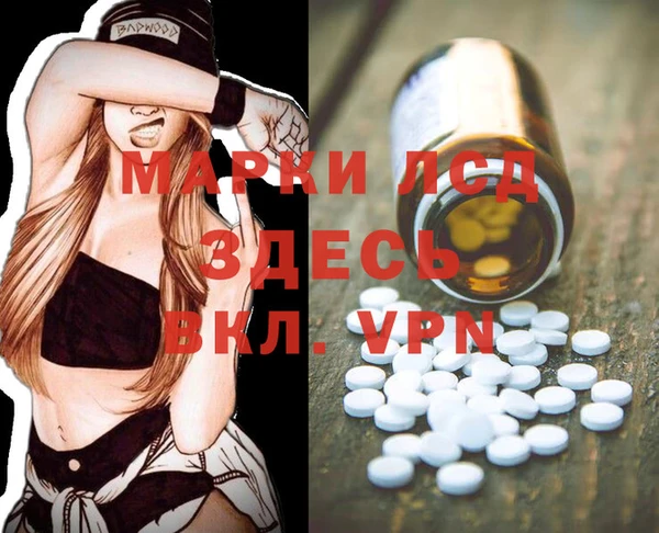 хмурый Аркадак