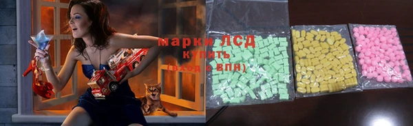 хмурый Аркадак