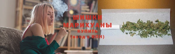 хмурый Аркадак