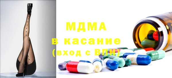 хмурый Аркадак
