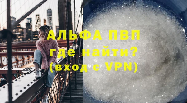 хмурый Аркадак