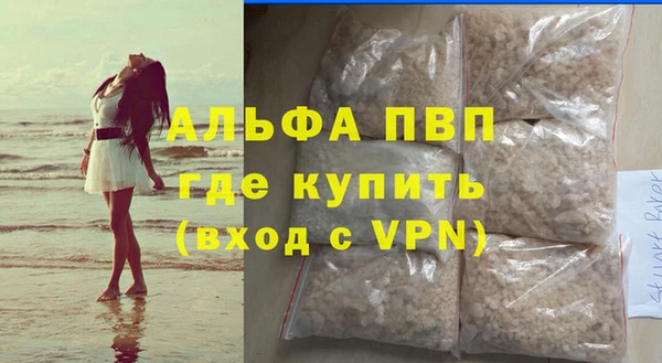 хмурый Аркадак