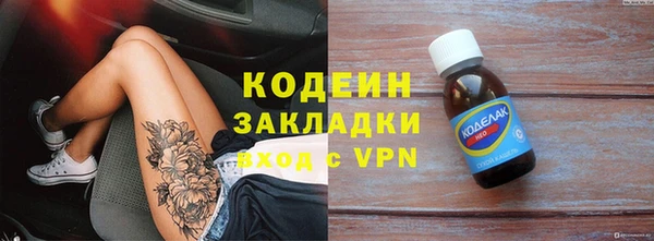 хмурый Аркадак