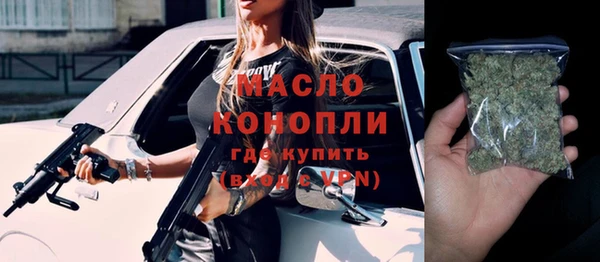 хмурый Аркадак