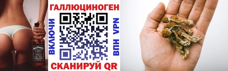 где найти   мега ссылки  Псилоцибиновые грибы ЛСД  маркетплейс официальный сайт  Курчатов 